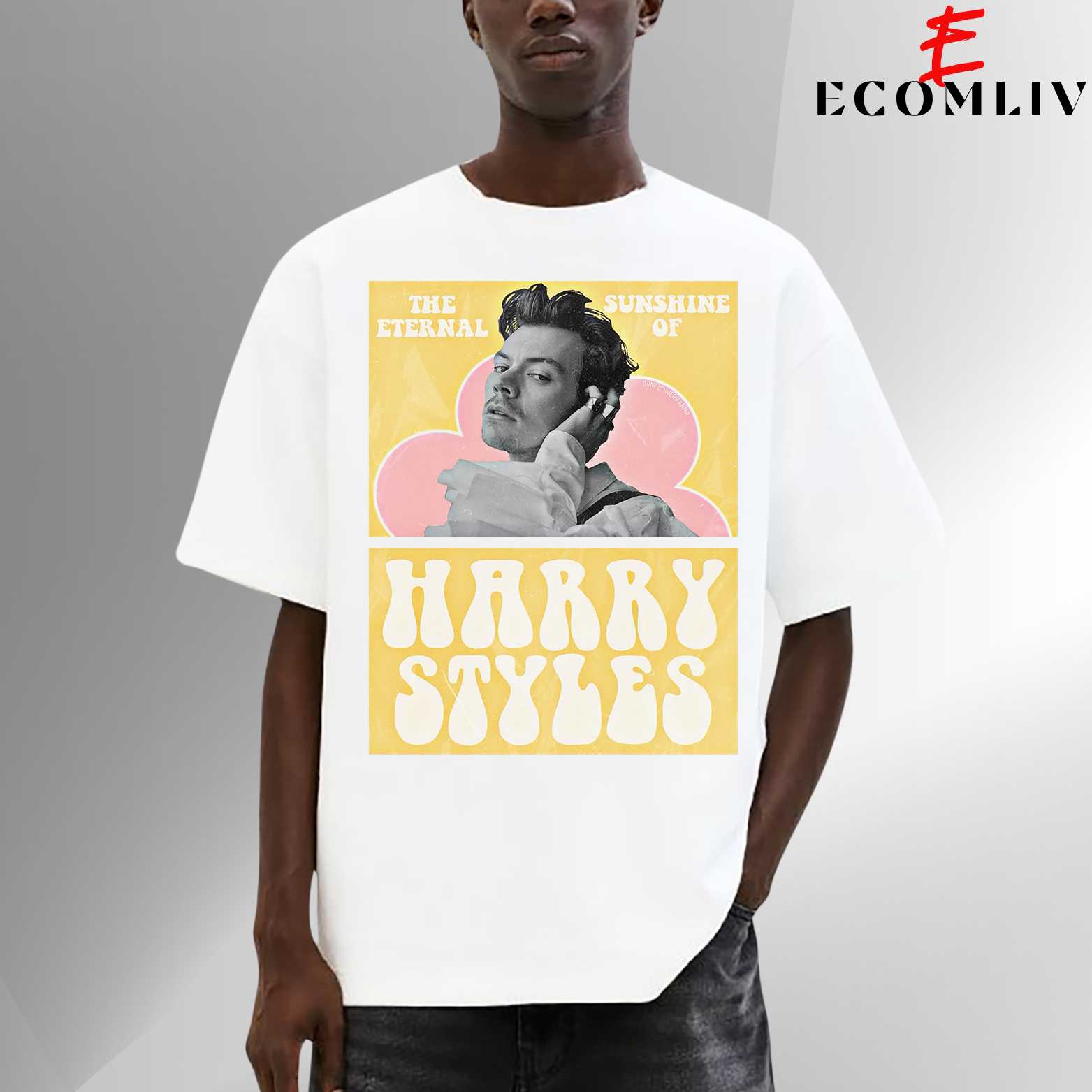Harry Styles T Shirt, Unisex Pop Star Tee, Music Streetwear Shirt, Tour Fan Collector Apparel